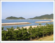 海岸まで徒歩1分!(白鳥自動車学校)